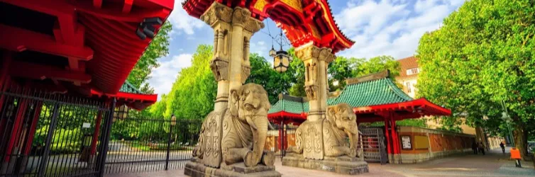 Die Bären von Berlin: Der Berliner Zoo und seine Wildtiere
